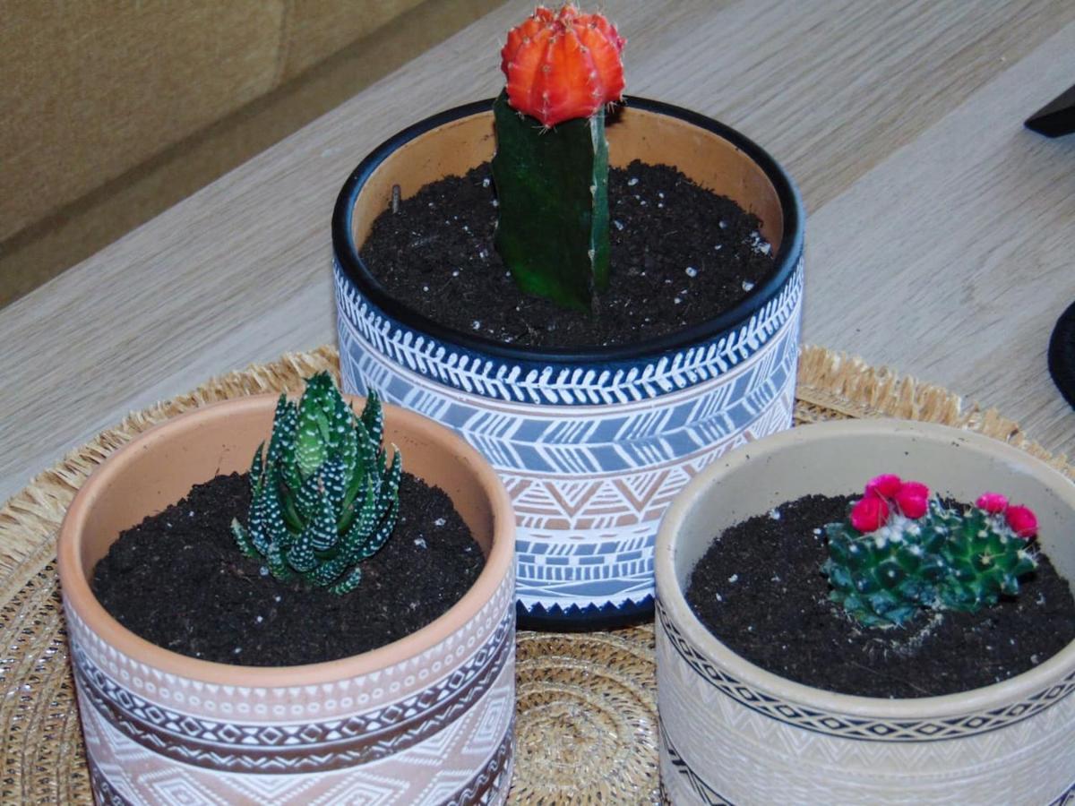 The Orange Cactus Apartment Спарти Екстериор снимка